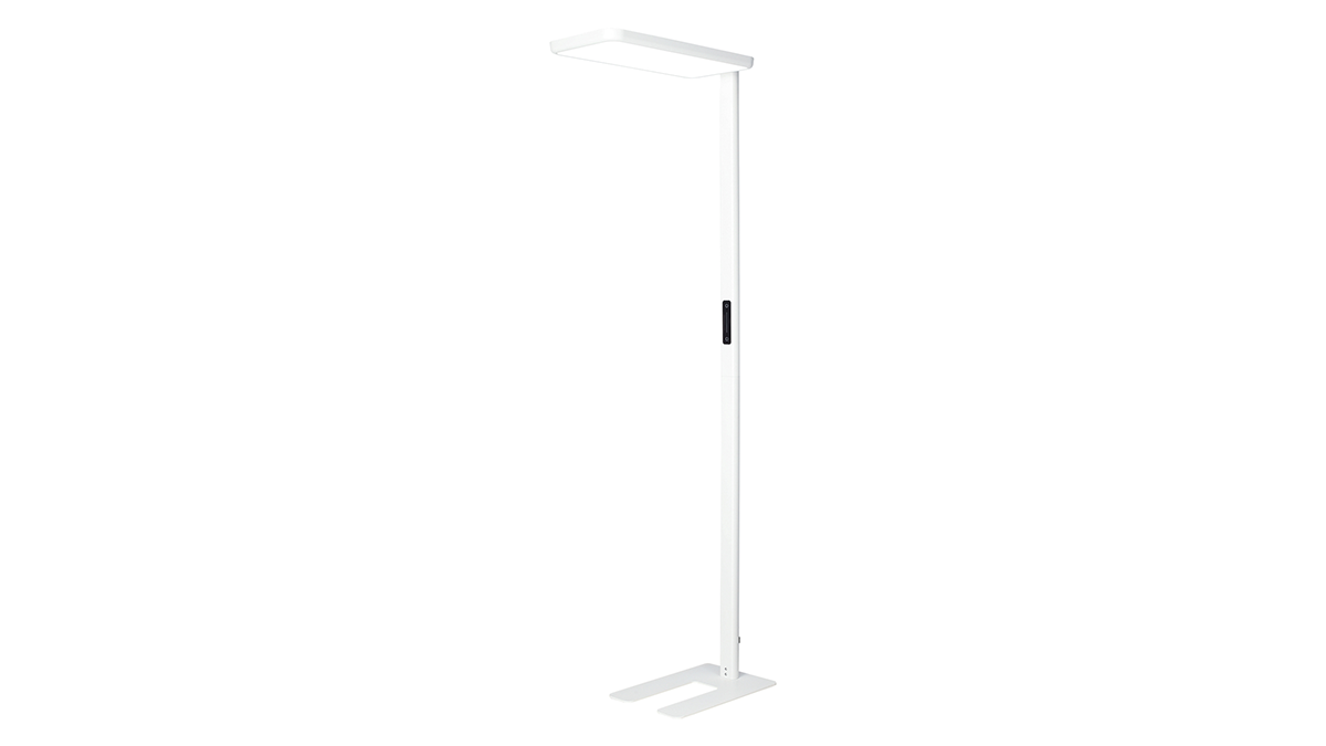 LED Floor Lamp